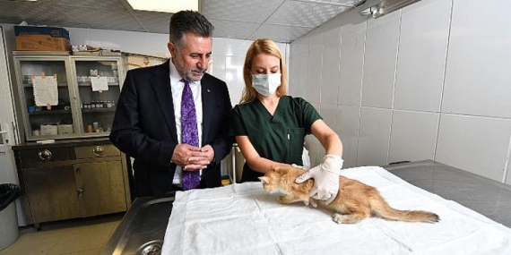 5 ayda bin 250 can dost tedavi edildi