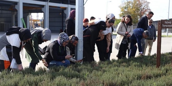 Aromatik bitki kursları KO-MEK’te