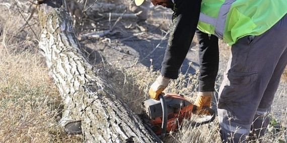 Budanan Ağaçlar İhtiyaç Sahiplerine Yakacak Oluyor