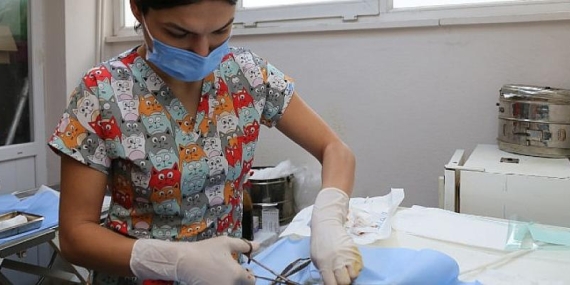 Edremit Belediyesi 7/24 Can Dostların Yanında