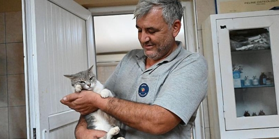 Evcil hayvanlarda çip dönemi