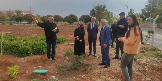 Harran Üniversitesi Dünyanın En Değerli Baharatını Şanlıurfa’ya Yeniden Kazandırdı