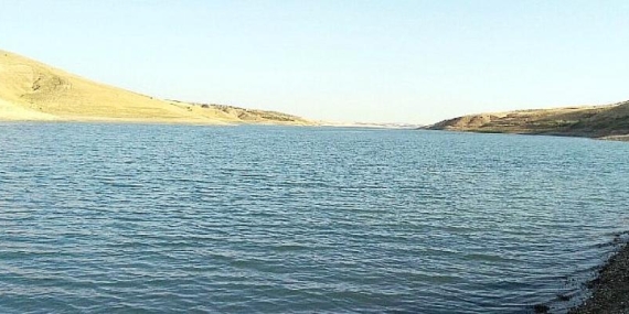 Harran Üniversitesi, Fırat Nehrinde Tehdit Oluşturan İstilacı Sazan Balıkları İçin Proje Üretiyor