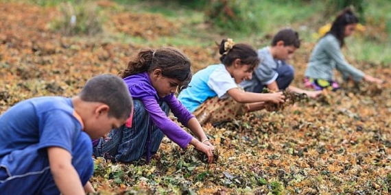 Hayata Destek Derneği: Çocuklar yoksulluk döngüsünden çıksın