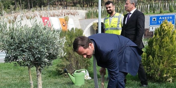 Kalyon Holding’ten rekor fidan dikimi