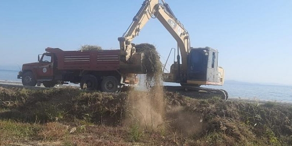 Mevsimlik Bakım ve Budama Çalışmaları Devam Ediyor
