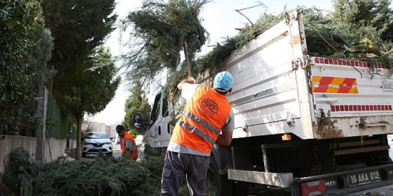 Nilüfer’de bahçe ve budama atıkları kompost oluyor