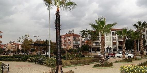 Ödemiş’te Şehir Magandaları Eğitim Şehitleri Parkı’ndaki Palmiye Ağacını Yaktı
