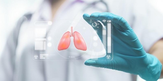 Organ Bağışıyla İlgili Doğru Sanılan 8 Yanlış Bilgi