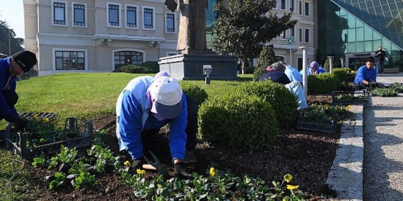 Osmangazi kış çiçekleri ile renklenecek