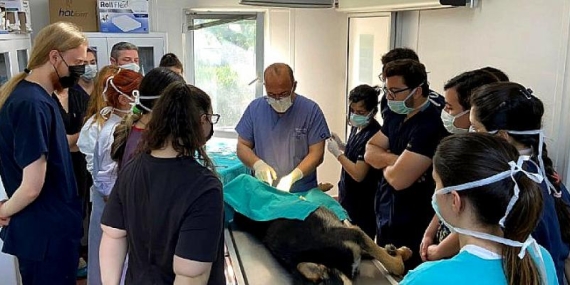 Osmangazi’de her canlı değerli