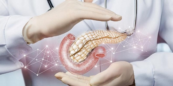 Pankreas Kanseri Hakkında Doğru Sanılan 11 Yanlış Bilgi