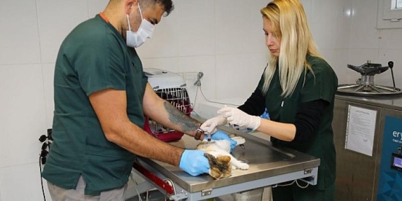 Şanslı” kanseri yendi