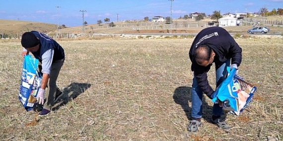 Sosyal Medyada Gündem Olan Tilki İçin Doğal Yaşam Alanına Yiyecek Bırakıldı
