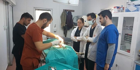 Veteriner hekim adaylarına uygulamalı eğitim