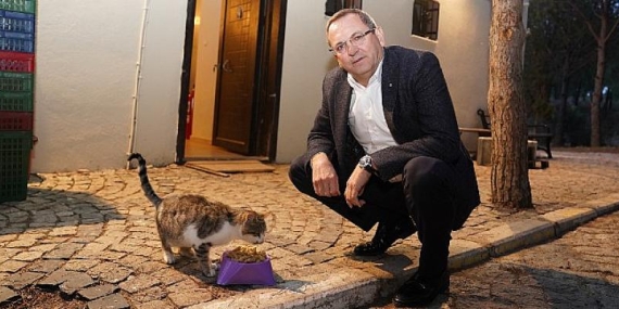 Ayvalık Belediyesi Can Dostlarının Mamasını Üretiyor