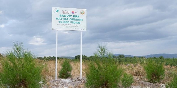 Banvit BRF Ormanı 40 bin ağaca ulaştı