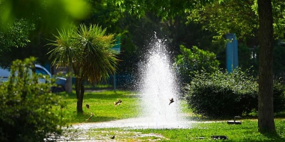 Bayraklı’nın yeşil oranı her yıl artıyor