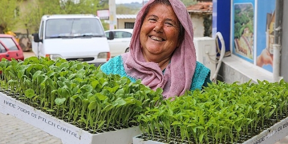 Buca'da Belediye-Kooperatif işbirliği, tarımı canlandırdı