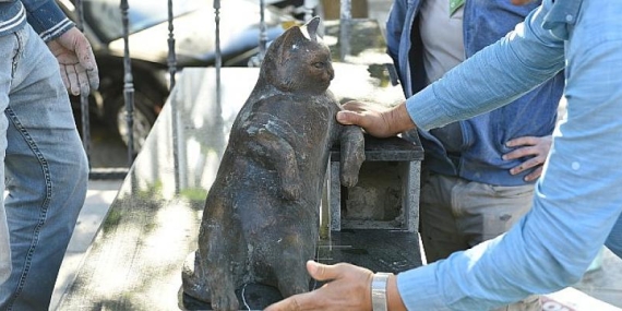 Kadıköy’ün Kedisi Tombili Yuvasına Döndü