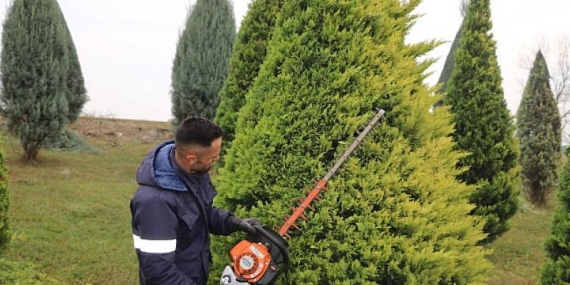 Kartepe Suadiye Kavşağında ağaçlar budandı