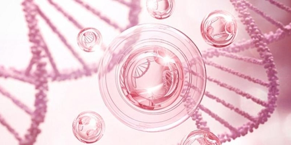 Kemikli Etlerde Bulunan Kolajen Proteini Yaşlanmayı Yavaşlatıyor