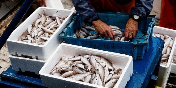 Muğla ihracatta 1 milyar dolar hedefine ulaştı