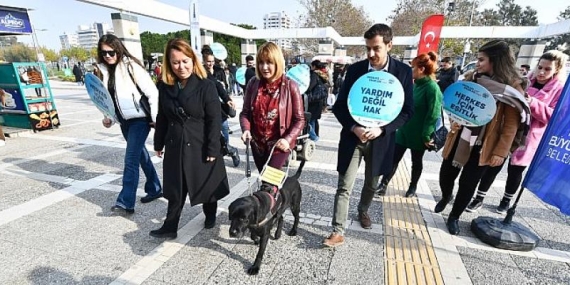 Rehber köpekler toplu ulaşımda