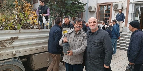 Saray Belediyesi’nden ücretsiz incir fidanı