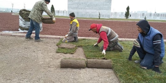 Şehit Öğretmenler Anıtı Yeşeriyor