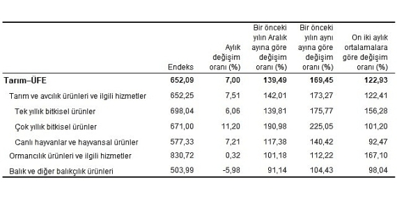 TÜİK Tarım ürünleri üretici fiyat endeksi (Tarım-ÜFE) yıllık %169,45, aylık %7,00 arttı
