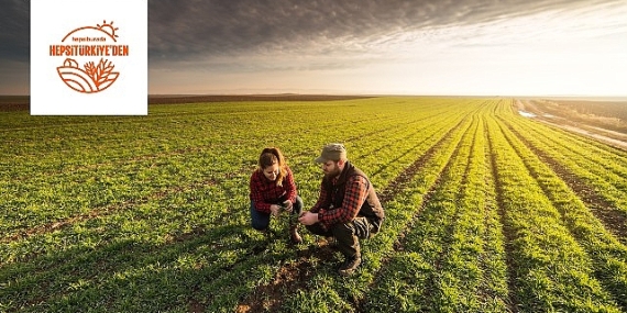 Türkiye'nin Yerel Üreticileri ve Kooperatifleri Hepsiburada ile Büyümeye Devam Ediyor