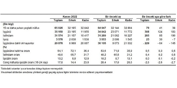 Mevsim etkisinden arındırılmış işsizlik oranı %10,2 seviyesinde gerçekleşti