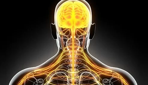 Multiple Skleroz (MS) hastalığı nedir ve tedavisi nasıldır?