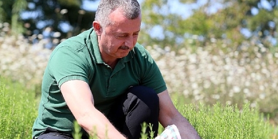 Sekapark A.Ş.'nin hedefi; Avrupa ve Ortadoğu pazarı