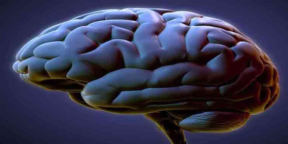 Beyin Pili Ameliyatı: Parkinson ve Epilepsi Tedavisi