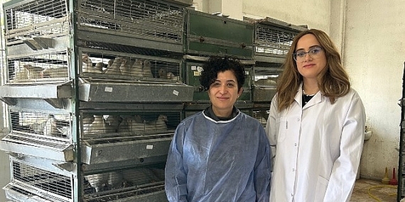 Ege’de “Tavuk koronavirüs aşılarında yerli ve milli adjuvan geliştirilecek”