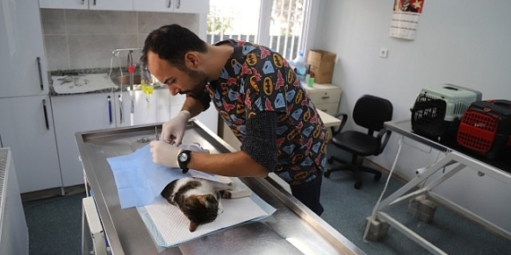 Hayvan Dostu Belediye: Menderes Belediyesi