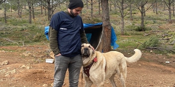 Antalya Büyükşehir Belediyesi  veterinerleri Gaziantep'te