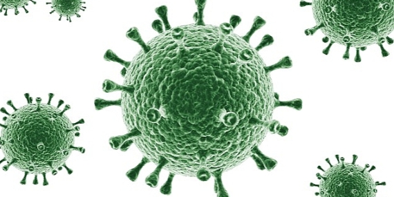 Bağışıklığınızı Güçlü Tutun Enfeksiyonlardan Korunun