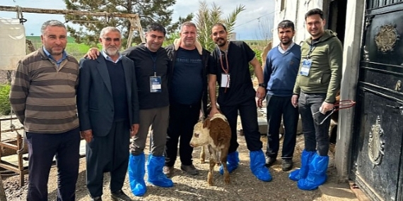 DEÜ'lü Uzmanlardan Deprem Bölgesinde Şap Virüsü Uyarıları