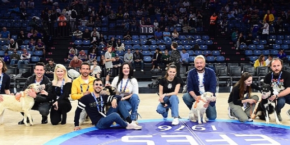 Anadolu Efes, Pawder İş Birliğiyle Depremzede Köpekleri Sinan Erdem Spor Salonu'nda Ağırladı