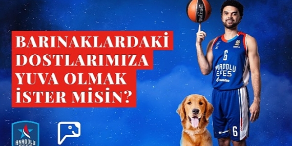 Anadolu Efes, Pawder İş Birliğiyle Depremzede Köpeklerin Ve Barınak Hayvanlarının Sahiplendirilmesine Destek Olacak