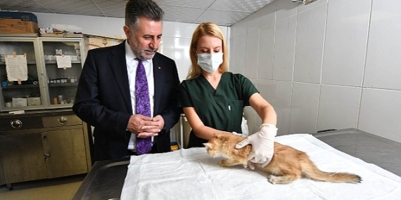 Bayraklı'daki can dostlara özel klinik!