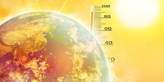 Türkiye'nin Anafilaksi Haritası çıkarıldı