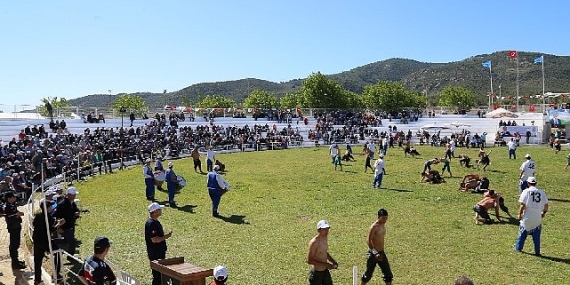 Edremit'te 500 pehlivan kol bağlayacak