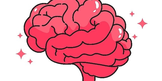 İyi korunmuş sağlıklı bir beyine ihtiyacımız var