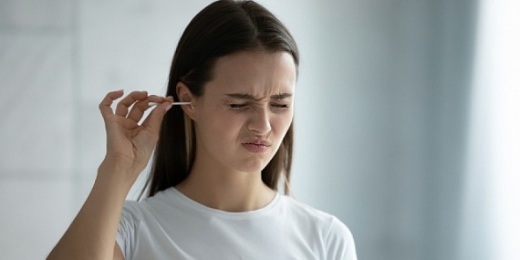 Kulak Mantarı Nemli Ortamı Seviyor!