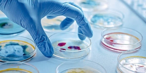 Enfeksiyonun En Ağır Hali: Sepsis