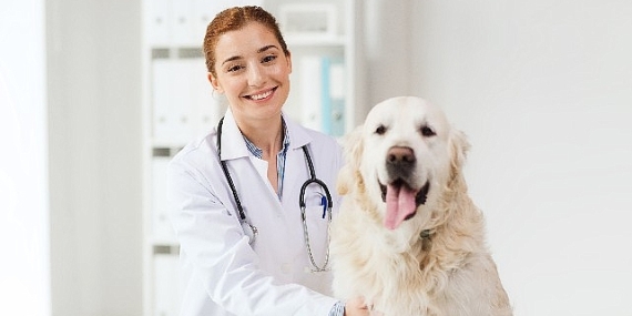 Tüm Dünyada Her Yıl 59 Bin Kişinin Hayatını Kaybettiği Kuduz, Tamamen Önlenebilen Bir Hastalıktır